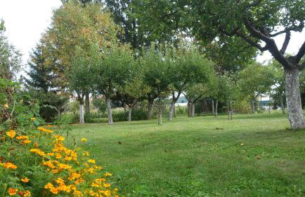 Apartment Mia - Foto 53