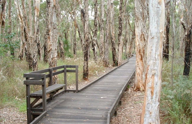 NRMA Woodgate Beach Holiday Park - Foto 68