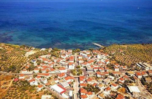 Kikkos Village House - Foto 33