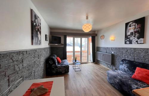 Christiana studios en hyper centre de Valberg aux pieds des pistes - Foto 27