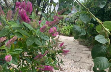 Maison spacieuse 120 m plage de la grève blanche - Foto 43
