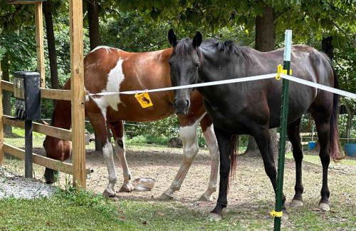 2 Bedroom Logan Ohio Hot Tub - Foto 17