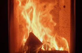 Blütenlodge Bodensee - Foto 8