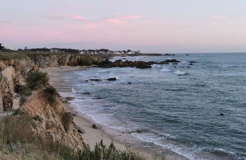 Appartement Ajoncs - Pleine Mer - Foto 24