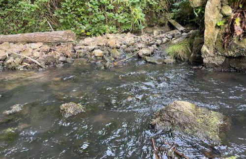 Vaste Maison à la campagne - Foto 15