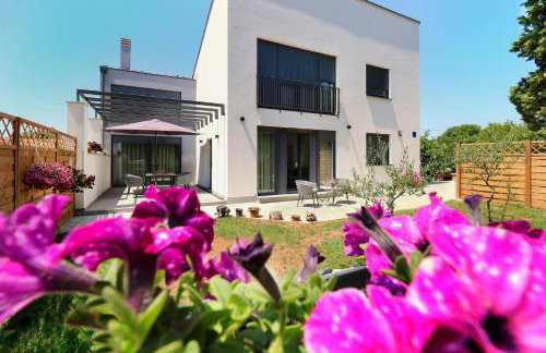 Papillon i Dolce Vita - Foto 1