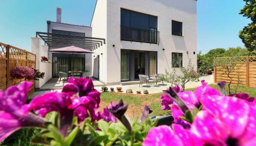 Papillon i Dolce Vita - Foto 1