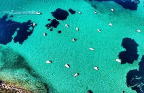 Villa Dimitrios(2 independent apartments 200sq m) - Foto 46