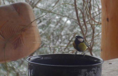 Krolowo Apartment - Photo 38