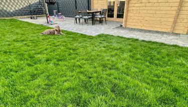 Chalet Lasserg - Foto 5, Garden