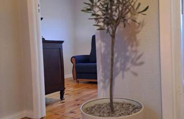 BABhouse Lagar Antigo - Coração do Douro - Foto 8