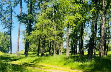 Gîtes les COMBES - Foto 28