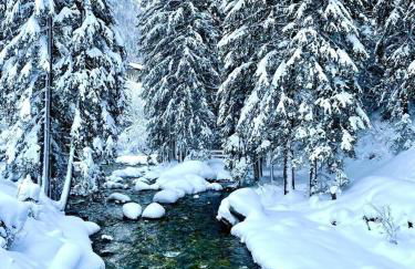 Cozy comfort, pool and spa close to Mont Blanc - Foto 48