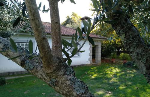 Casas Do Zagão - Turismo Rural - Foto 29