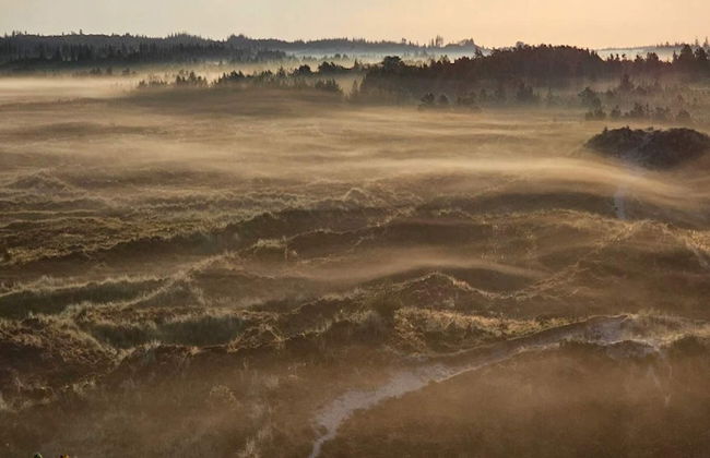 6 Person Holiday Home in Henne-by Traum - Foto 22