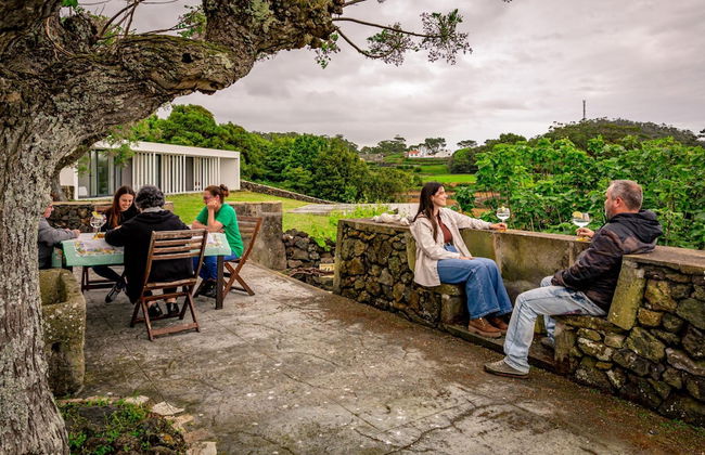 Casa dos Cal os in S o Mateus da Calheta - Photo 58