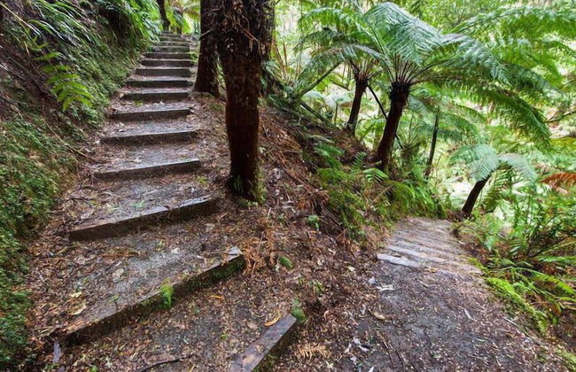 The Source Otways - Foto 24