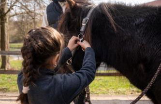 Ferienhaus Gersmühle - Foto 25