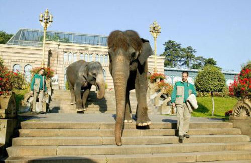 Remshalden - Foto 18