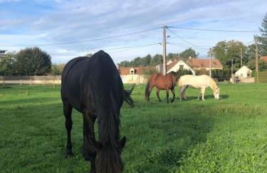 Gîte La Cabuche proche du zoo de Beauval - Foto 24
