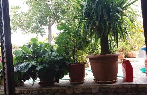 Katerinas Guest House - Foto 17