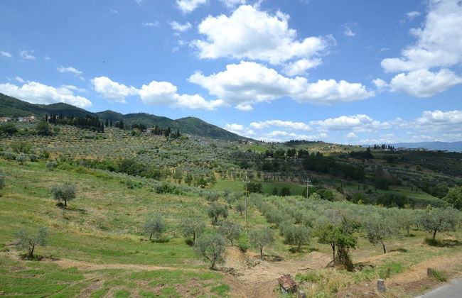 Tuscan Heaven; Vinci and Pistoia - Foto 36