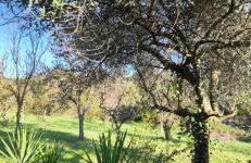 Villa Vitusya Charming home - Foto 31