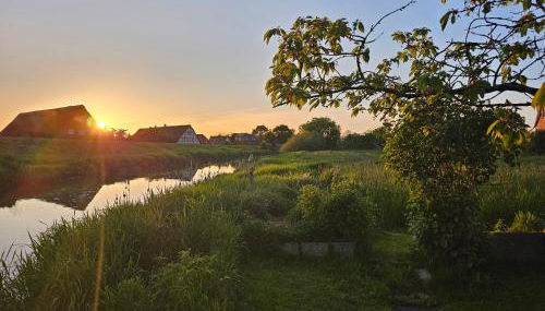 Lühe Loft - direkt am Wasser im Alten Land - Photo 5, Garden