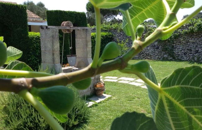 Masseria Costarella - Photo 64