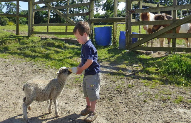 Manor Near Mont St. Michel and Contentin Beaches - Foto 21