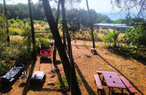 Apartments Vera - Mirca - Photo 18