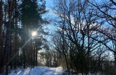 Klein aber fein in der Altstadt - Photo 27