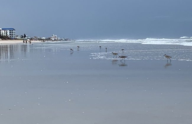 Zen Beach Retreat - Foto 61