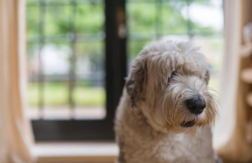 Craythornes by Bloom Stays - Foto 43