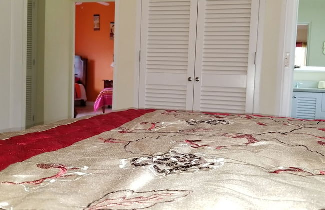 Ocho Rios Villa at Coolshade V - Foto 14