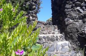 Finca El Lance - Foto 33