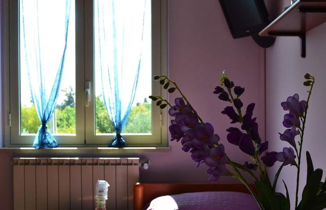 Room-blue Room - B&B S Elia - Foto 23