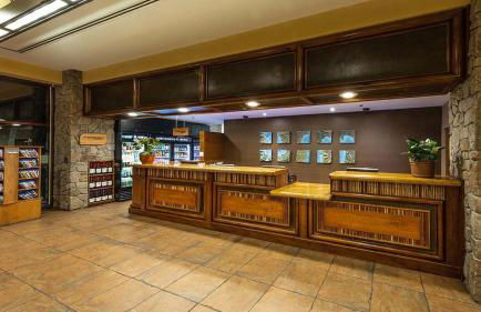 Marriott Timber Lodge 1BR Apartment with Resort Access - Foto 18