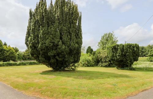 Rob Roy Apartment - Foto 43