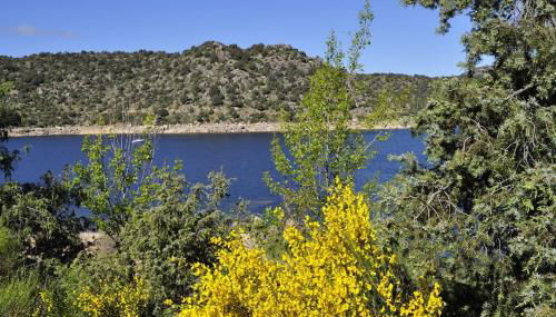 La cabaña del Burguillo - Photo 3