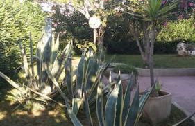 Villa Francesco & Chiara - Foto 28