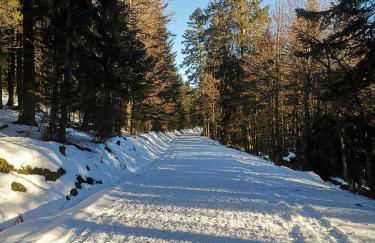 Chalet à L'Orée du Bois - Foto 43
