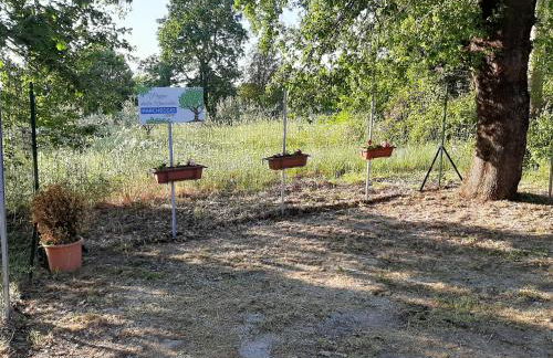 Poggio della Roverella Country House - Foto 11