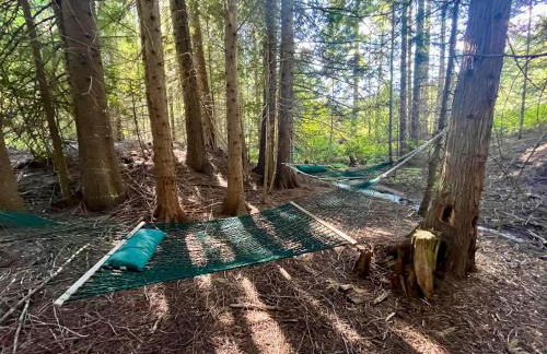 Private Two-Cabin Retreat Near Silverwood Theme Park - Sleeps 15 - Photo 16