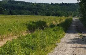 Wichrowe Wzgórze - Foto 23