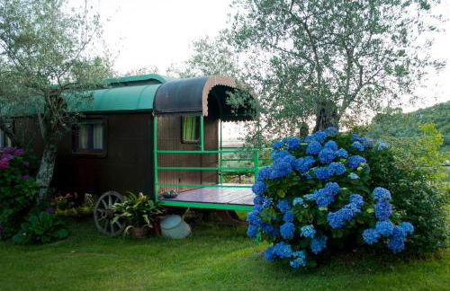 Azienda agricola Della Mezzaluna - Foto 42