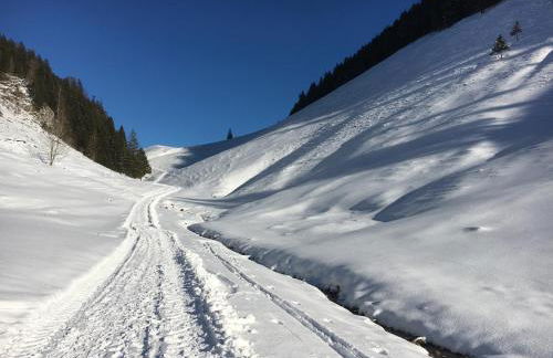 Landhaus Renata Bayrischzell - Foto 43