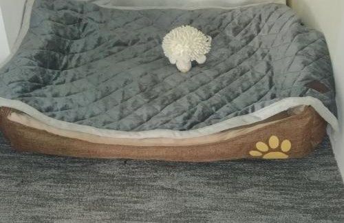 Apartman Arena - Foto 66