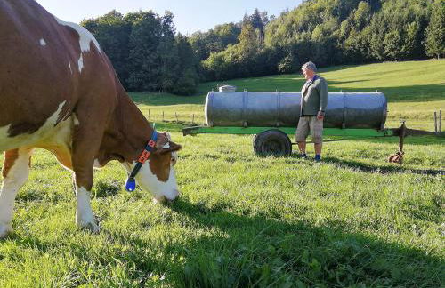 Almbauernhof - Foto 18