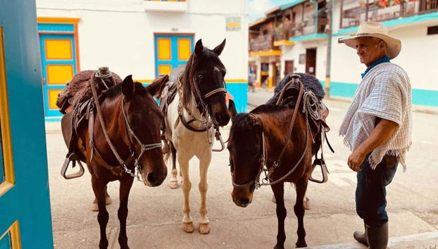 Paseo a caballo por Jardín - Photo 3